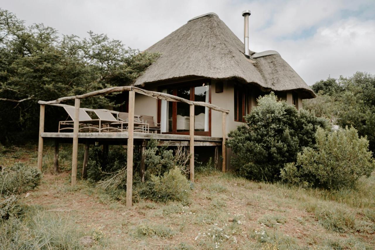 Bukela Game Lodge - Amakhala Wildreservaat Buitenkant foto
