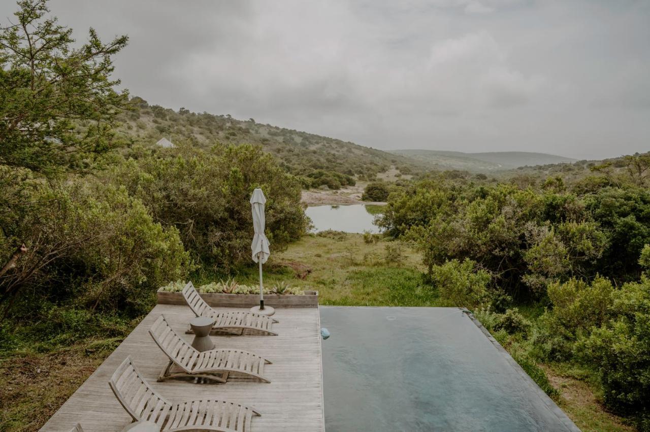 Bukela Game Lodge - Amakhala Wildreservaat Buitenkant foto