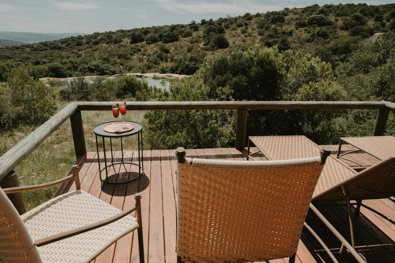 Bukela Game Lodge - Amakhala Wildreservaat Buitenkant foto