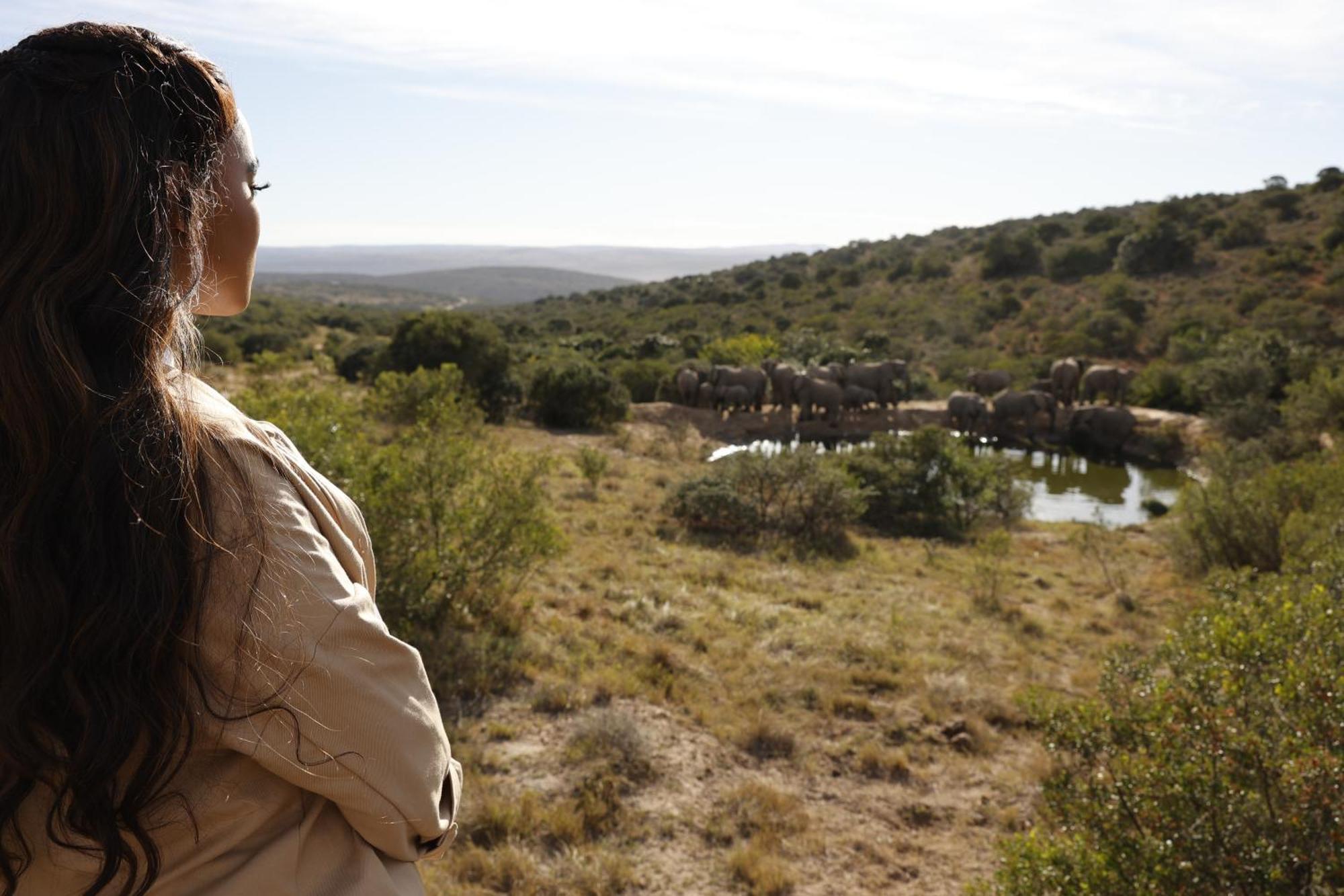 Bukela Game Lodge - Amakhala Wildreservaat Buitenkant foto