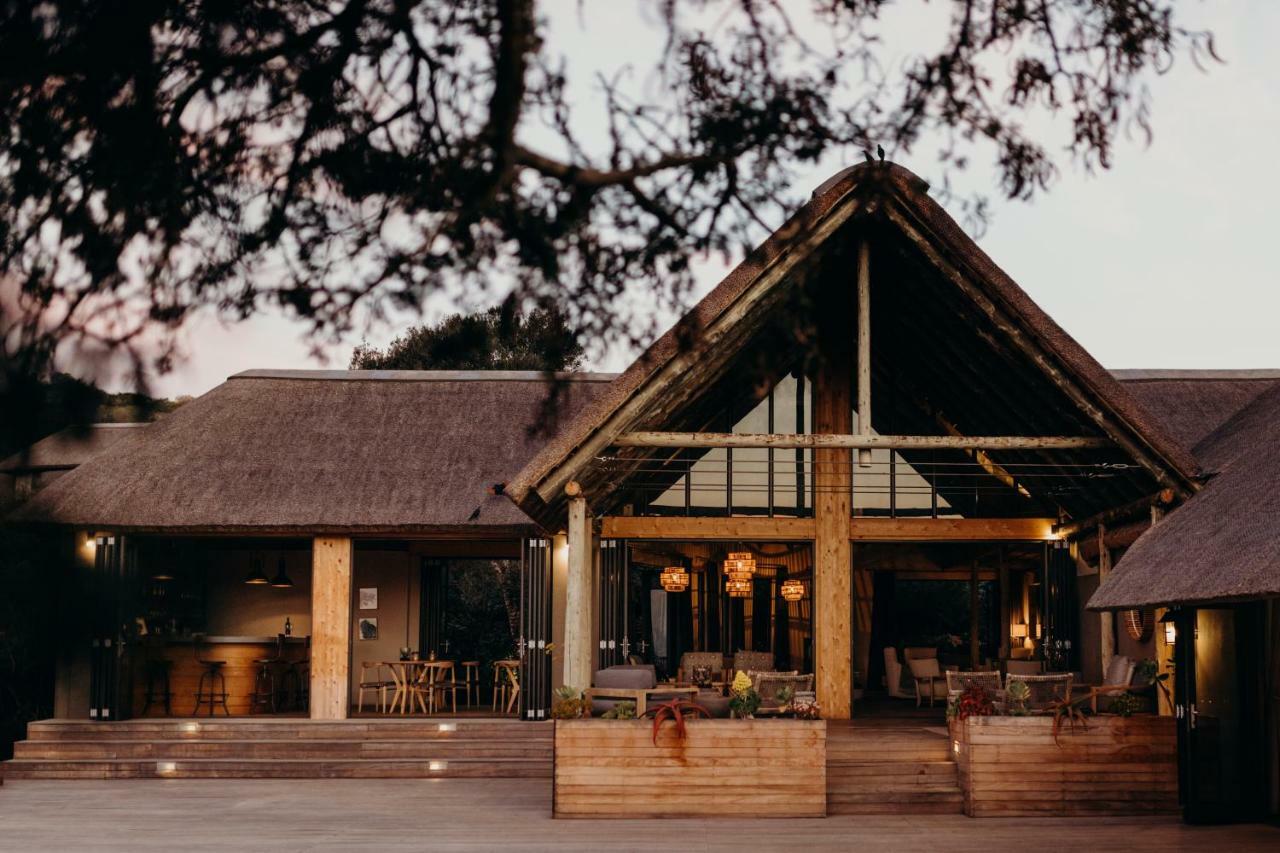 Bukela Game Lodge - Amakhala Wildreservaat Buitenkant foto